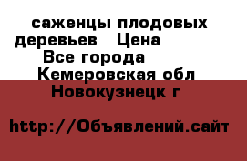 саженцы плодовых деревьев › Цена ­ 6 080 - Все города  »    . Кемеровская обл.,Новокузнецк г.